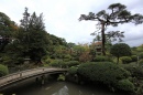 Japanese Traditional Style Garden